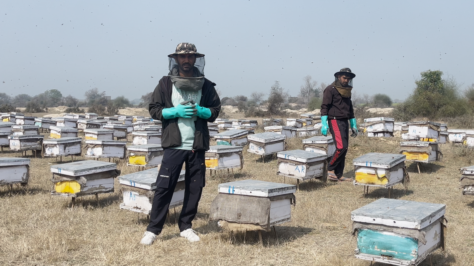 Premium Aliment India Honey
